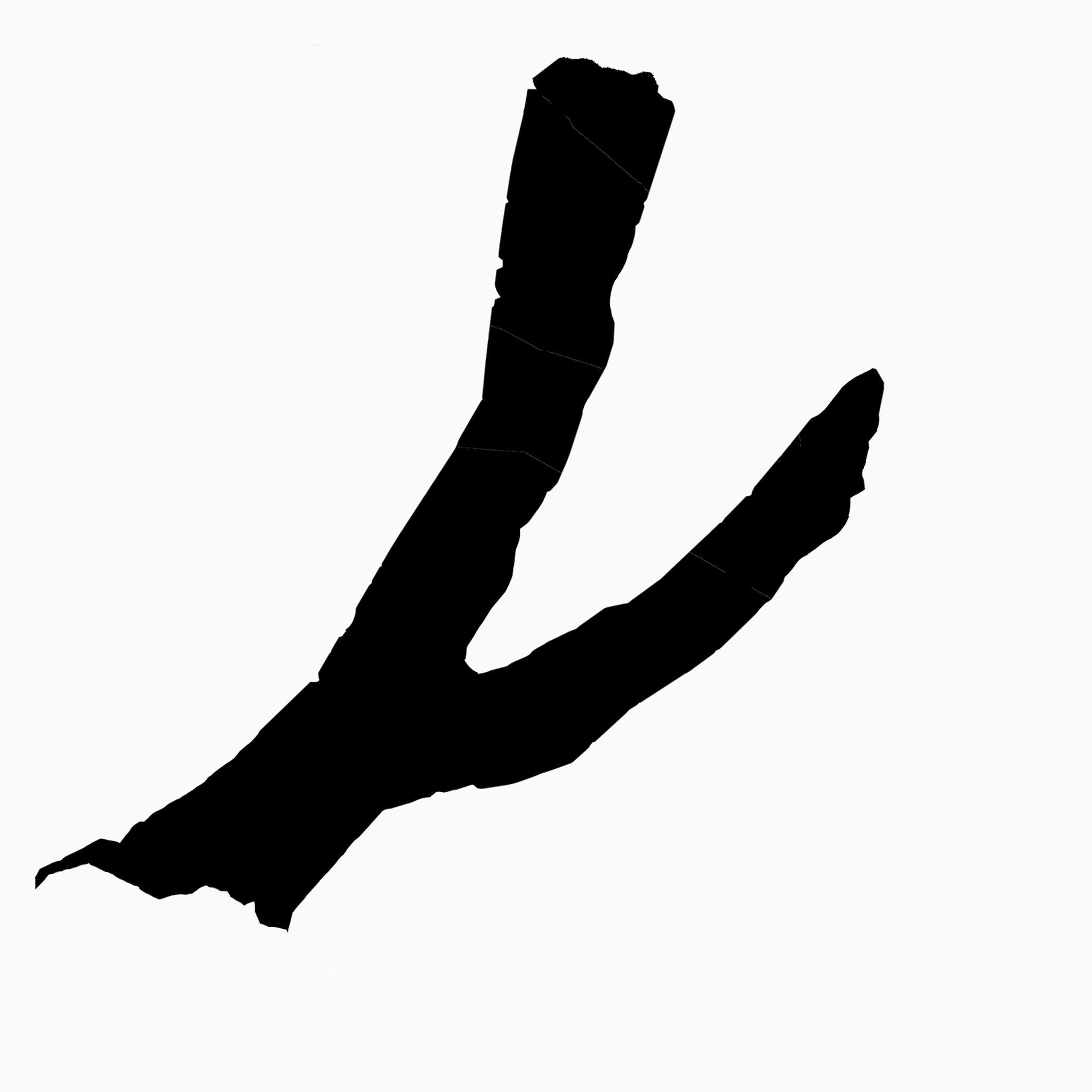 55803408_2250756008575189_9008706895636070400_o